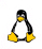 Linux Hosting Delhi India